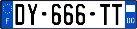 DY-666-TT