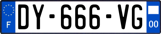 DY-666-VG