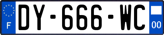 DY-666-WC