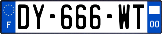 DY-666-WT