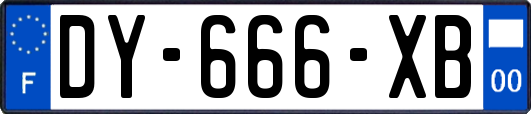 DY-666-XB