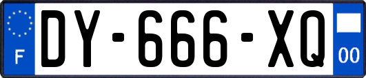 DY-666-XQ