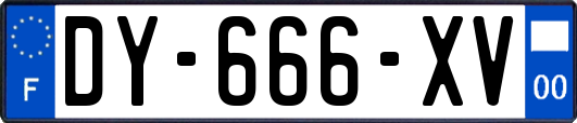 DY-666-XV