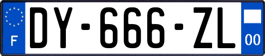 DY-666-ZL