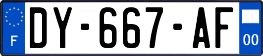 DY-667-AF