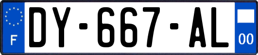 DY-667-AL