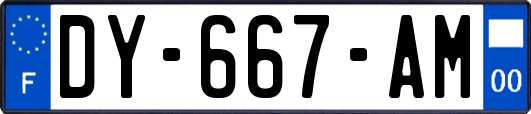 DY-667-AM