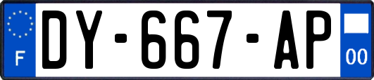 DY-667-AP
