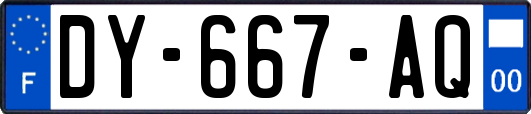 DY-667-AQ