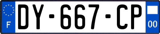 DY-667-CP