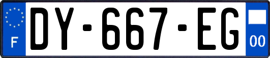 DY-667-EG