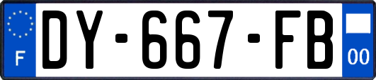 DY-667-FB