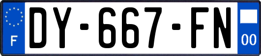 DY-667-FN