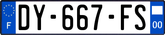 DY-667-FS