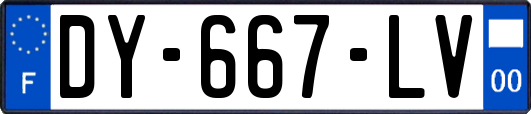 DY-667-LV