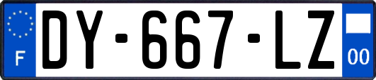 DY-667-LZ