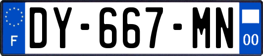 DY-667-MN