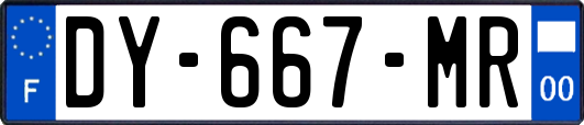 DY-667-MR