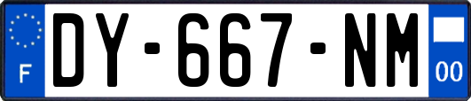 DY-667-NM