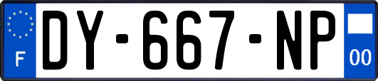 DY-667-NP