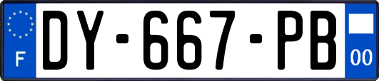 DY-667-PB