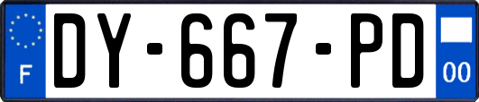 DY-667-PD