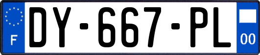 DY-667-PL