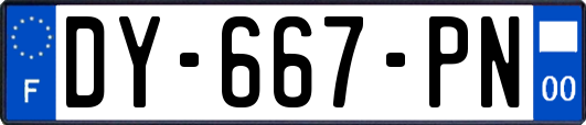 DY-667-PN