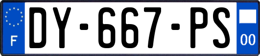 DY-667-PS