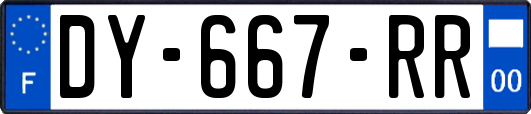 DY-667-RR