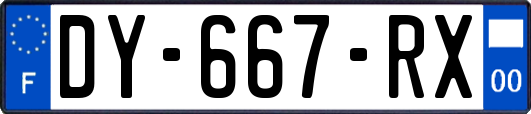 DY-667-RX