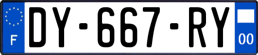 DY-667-RY