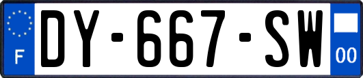 DY-667-SW