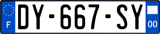 DY-667-SY