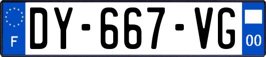 DY-667-VG