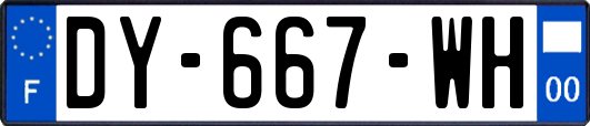 DY-667-WH