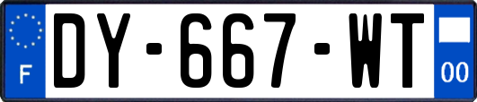 DY-667-WT