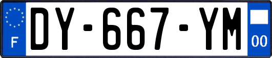 DY-667-YM