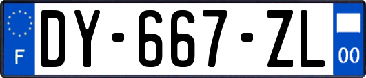 DY-667-ZL