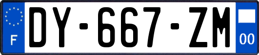 DY-667-ZM