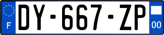 DY-667-ZP