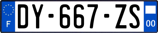 DY-667-ZS
