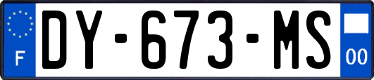 DY-673-MS