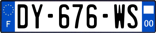 DY-676-WS