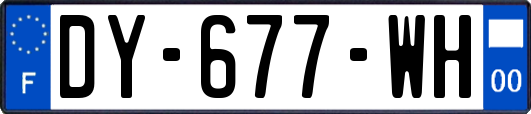 DY-677-WH