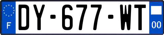 DY-677-WT