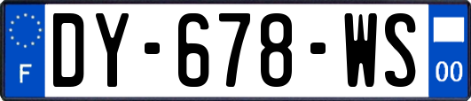 DY-678-WS