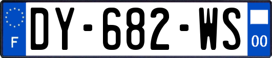 DY-682-WS