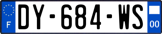 DY-684-WS