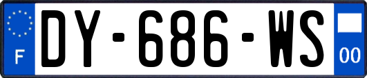 DY-686-WS